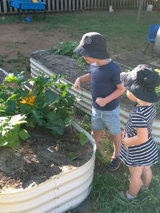 Children explore the veggie patch at Crookwell Early Learning. Photo: Bronwyn Haynes, 2017