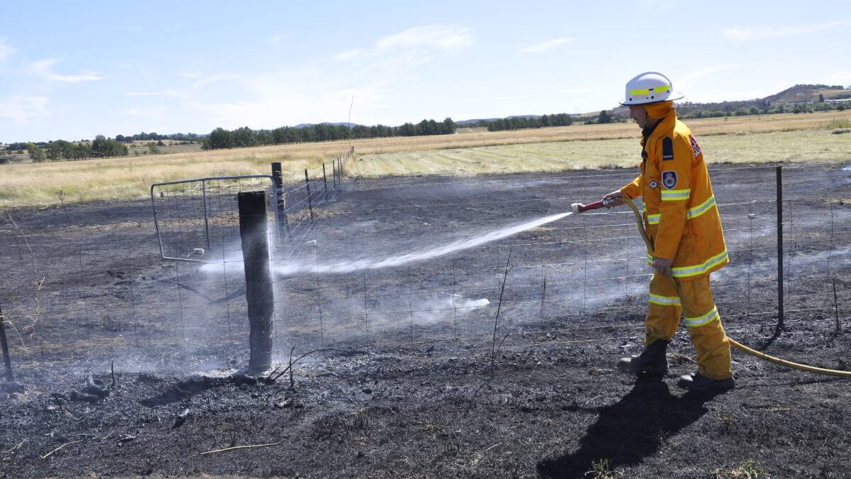 ON THE SPOT: A NSW Rural Fire Service volunteer subdues a burn in Goulburn. Photo: FILE, 2015