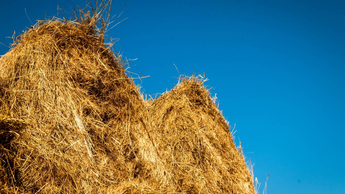Strike force to investigate fraudulent hay sales across New South Wales