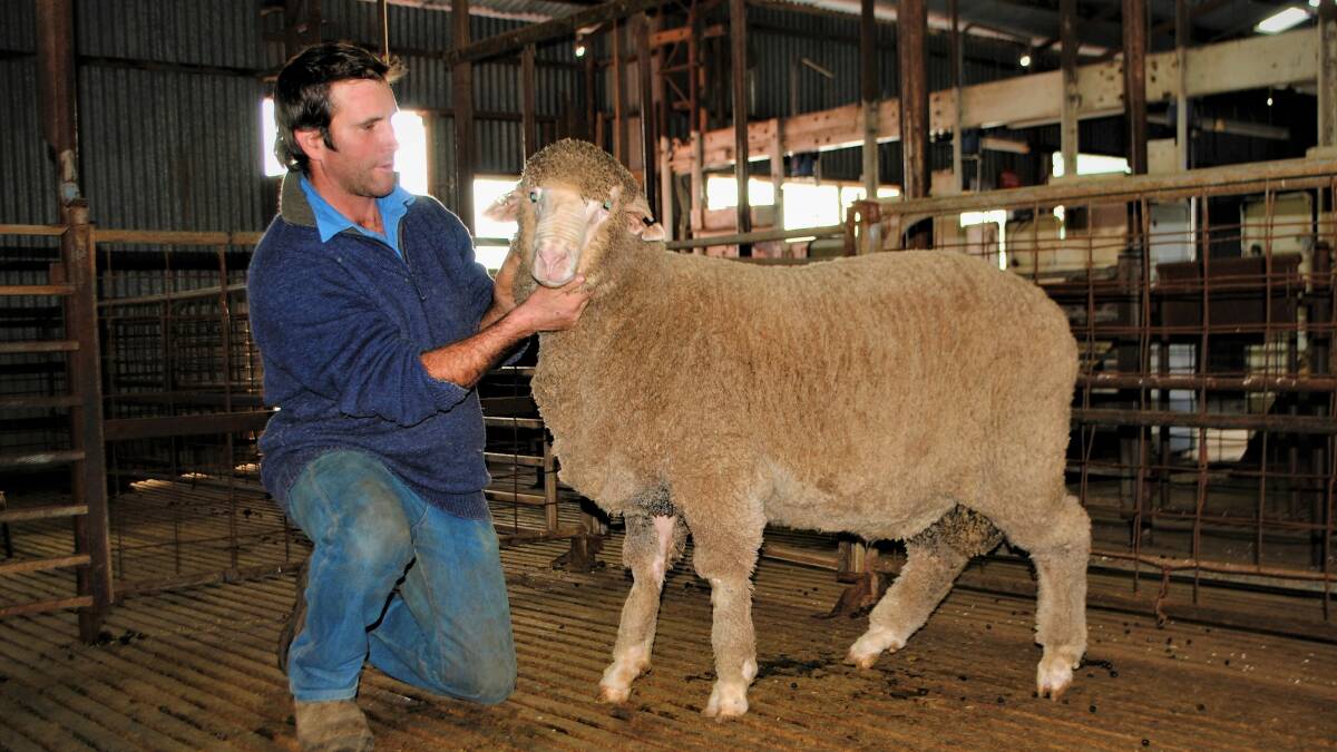 Bowning-based grazier George Henderson has been selling surplus young and old ewes. Photo: Hannah Sparks