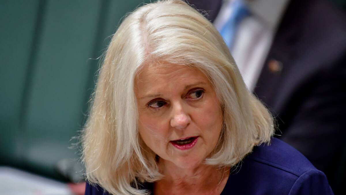Home Affairs Minister Karen Andrews has confirmed two other potential visa issues linked to Australian Open participants are being investigated. Picture: Elesa Kurtz